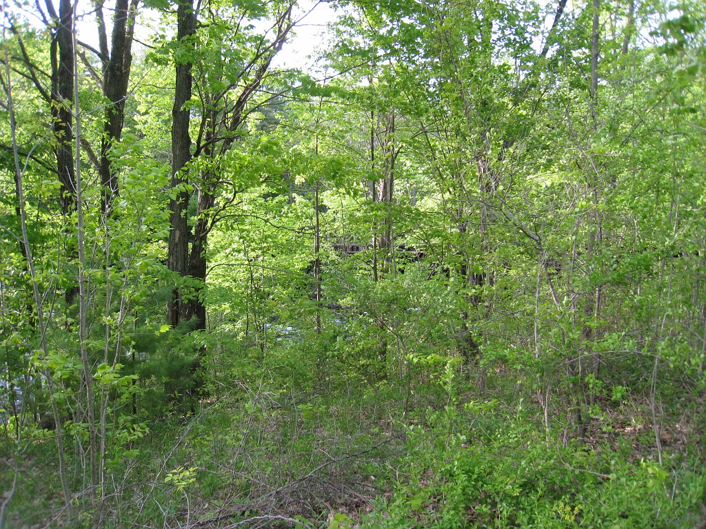 Tilton NH Rail Trail 2010 0150.jpg - Winnipesaukee River Trail, Franklin New HampshireTrestle View ParkInterested in taking a walk or bike ride on a scenic historic trail close to the downtowns of the twin rivers area, yet with the feel of wilderness. A 3 mile trail parallels the Winnipesauke river and passes the historic Sulphite upside down covered bridge believed to be the only one in the country and listed on the national register of historic places. You will also view mill ruins and remaining portions of dams that tell the history of the 5 mills that operated on this river in the mid 19th century.